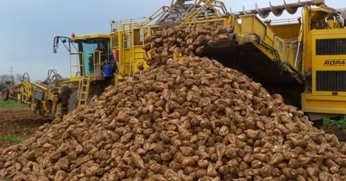 Аграрии Пензенской области получили первый миллион тонн сахарной свеклы