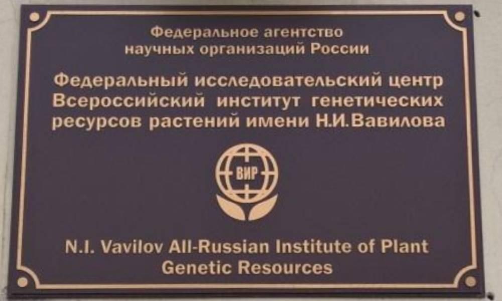 Учреждение имени. Всероссийский институт Вавилова. Всероссийский институт растениеводства имени н.и. Вавилова (вир). Институт генетических ресурсов растений имени н.и Вавилова. Всероссийский институт растениеводства присвоено имя Вавилова.