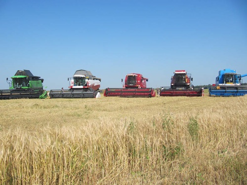 О ситуации на российском зерновом рынке