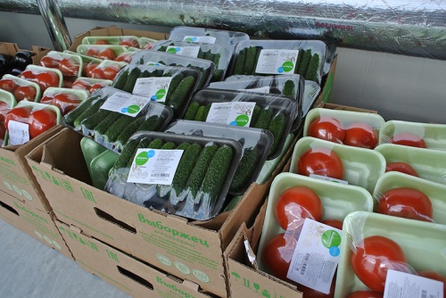 75,2% отечественных покупателей предпочитают помидоры и огурцы российского производства