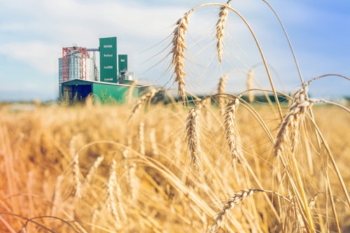 На «Золотой осени – 2017» расскажут об инновациях для защиты зерна