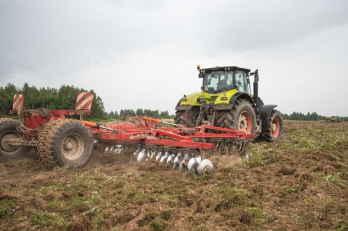 «Калининградская мясная компания» вернула в сельхозоборот 3900 гектаров залежных земель