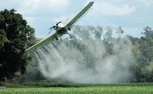 Пестициды в сельском хозяйстве не спасают мир от голода