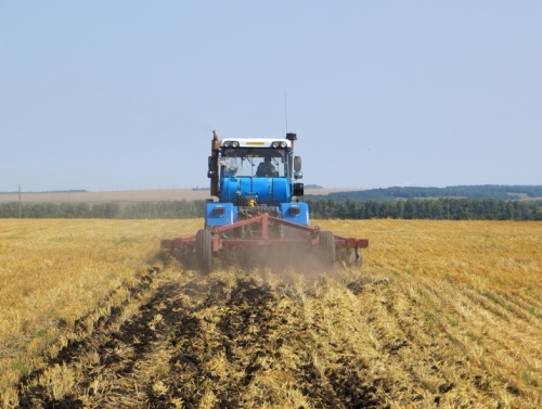 Аграрии Пензенской области приступили к работам по вводу неиспользуемых земель в сельхозоборот