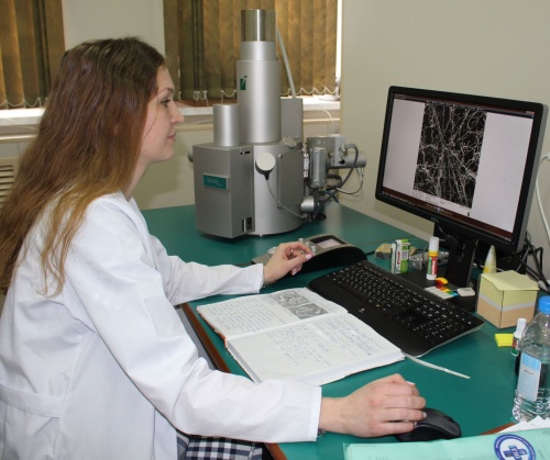 В ФГБУ «ВГНКИ» введен в эксплуатацию сканирующий электронный микроскоп