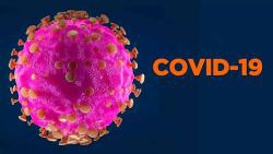 О возможности проведения исследований на коронавирус у животных