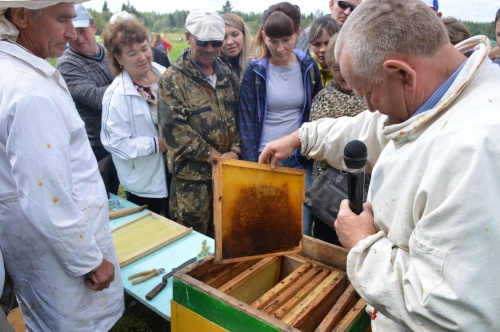 В Удмуртии создается республиканский реестр пчеловодов