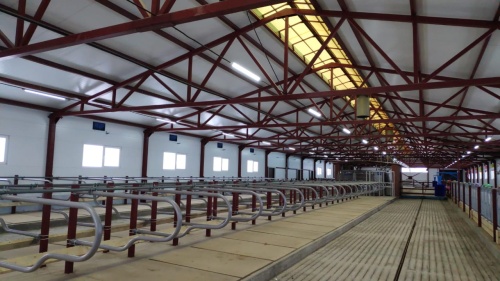 В Удмуртии открылась седьмая роботизированная молочная ферма