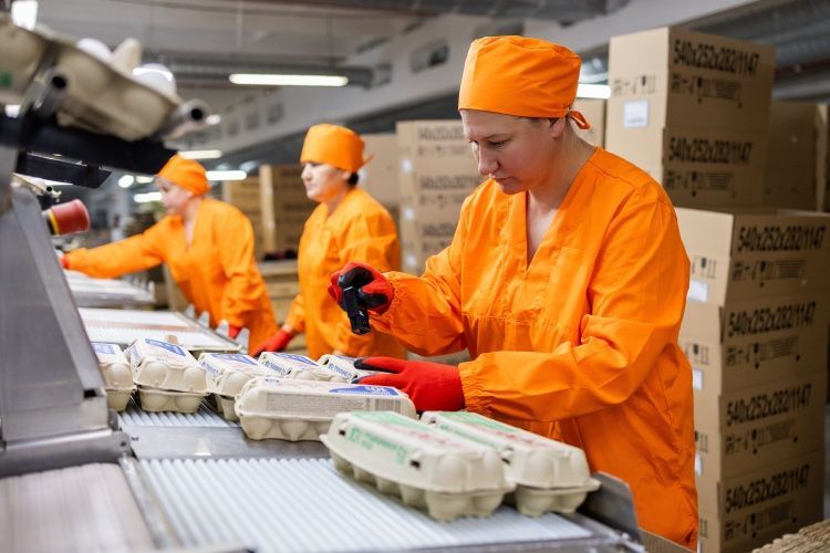 Птицефабрика «Башкирская» в 2025 году увеличит выпуск продукции в 2 раза Птицефабрика «Башкирская» в 2025 году увеличит выпуск продукции в 2 раза