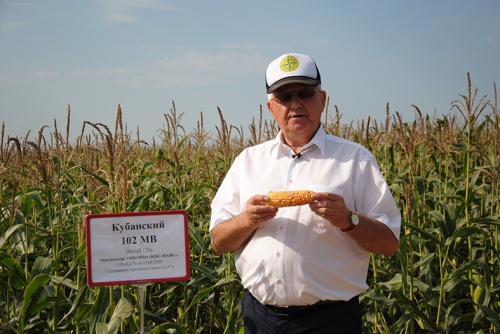 Кукурузу на Урале вырастить сложнее всего