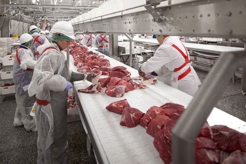 «Мираторг» приступил к поставкам говядины в Китай