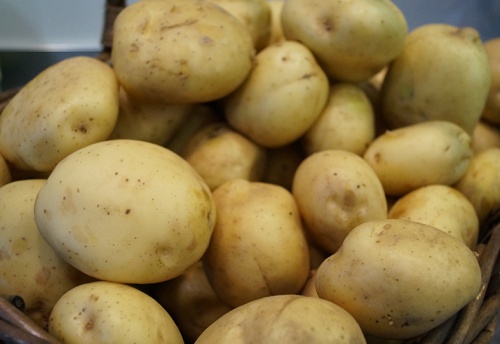 Чипсовый картофель – очень трудоёмкая сельхозкультура