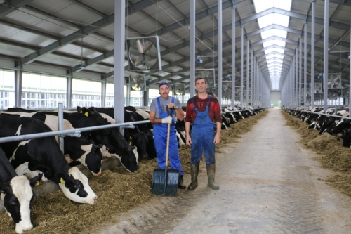 ГК «АгроПромкомплектация» увеличивает поголовье молочного КРС в Тверской области
