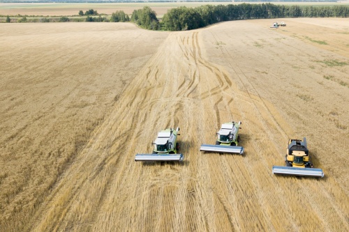 В Пензенской области намолочено 202,8 тыс. тонн зерна