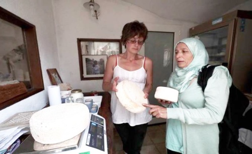 Сирийские женщины-фермеры будут перенимать навыки у своих итальянских коллег