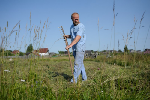 В Ленинградской области начат прием заявок на получение фермерских грантов «Агростартап»
