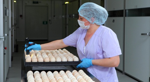 «Дамате» вышла на 100%-ную самообеспеченность инкубационным яйцом