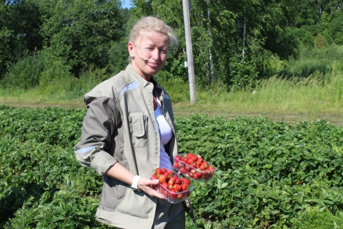 Удмуртия планирует выйти на круглогодичное выращивание ягодных культур