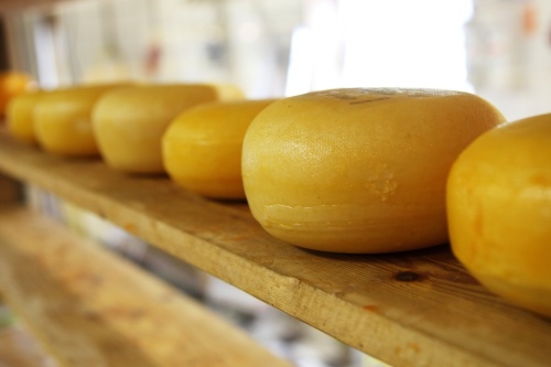 Территория «сырного» творчества будет организована на фестивале «Дни алтайского сыра»