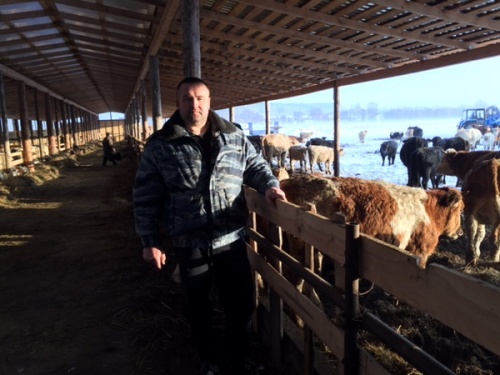 В Дзержинском районе Калужской области открылась семейная ферма мясного направления