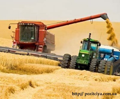 Украина вышла на второе место в мире по урожайности пшеницы