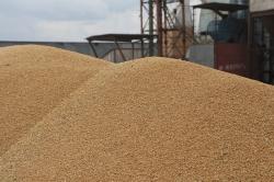О первой поставке пшеницы из Красноярского края в Китай