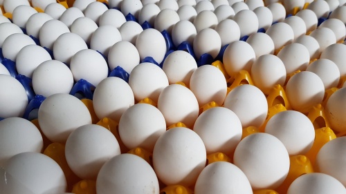 11 октября - Всемирный день яйца!