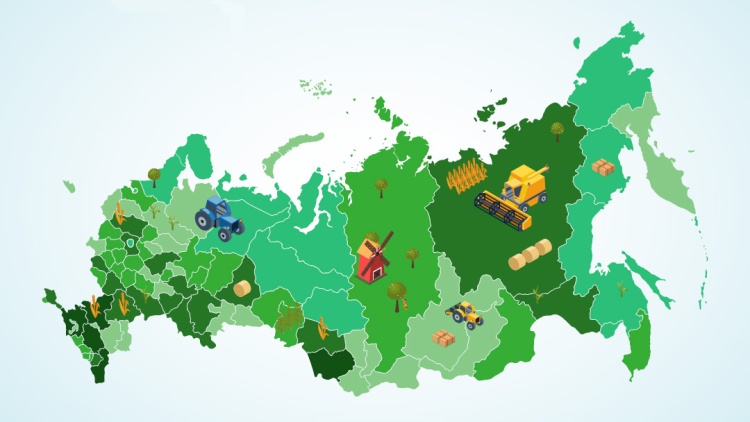 В каком регионе России больше всего сельхозорганизаций?