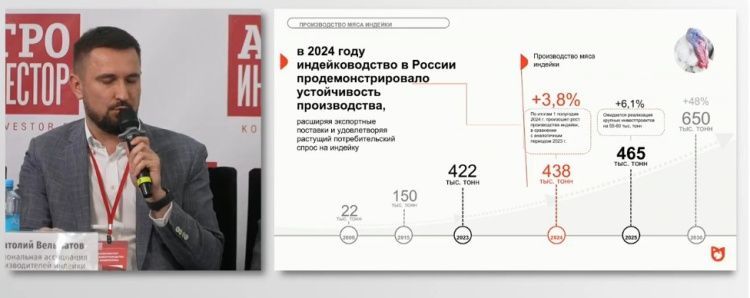 Перспективы рынка индейки Перспективы рынка индейки