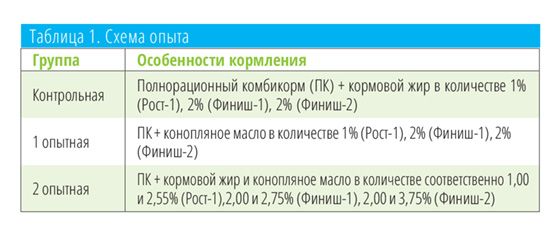 Макет СХ-ВЕСТИ_3_2024 весь кач-40.jpg