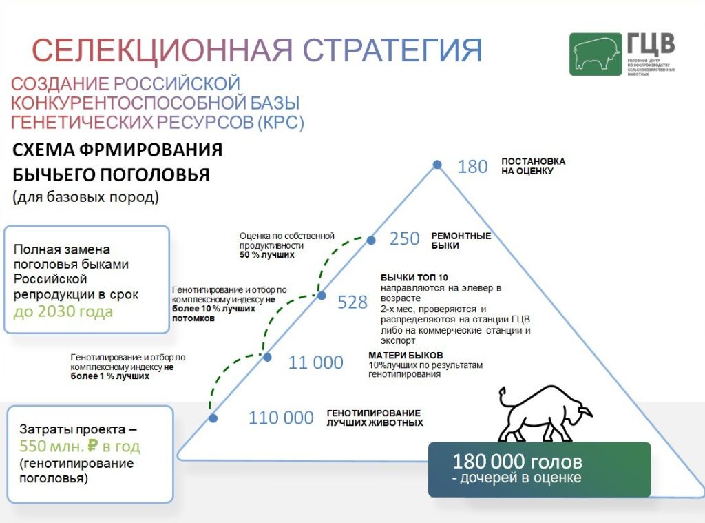 Лантух_9.jpg