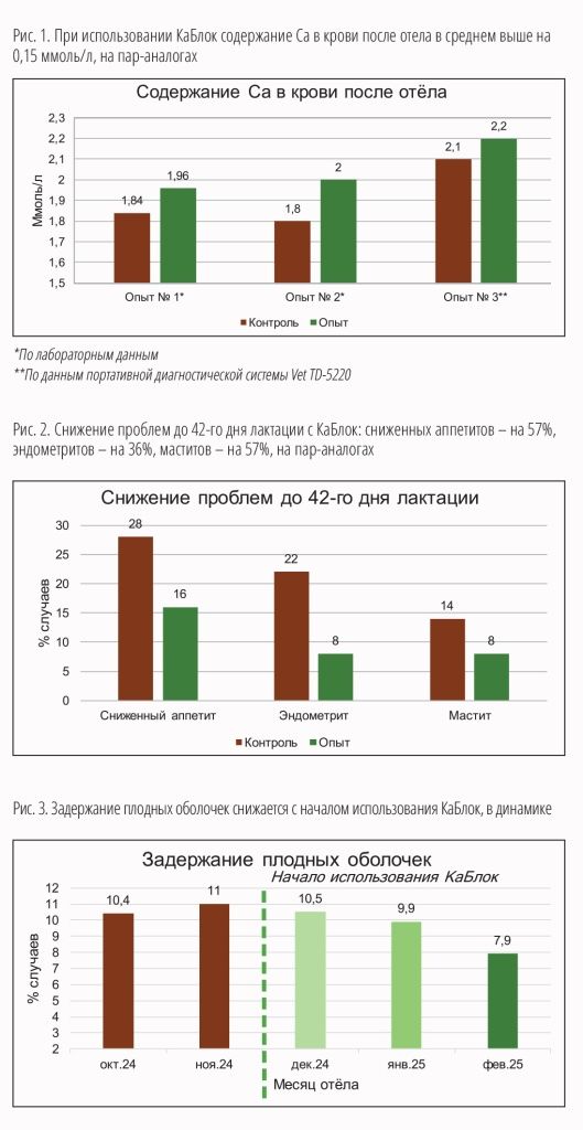СХ-вести_№2_МАКЕТ_2025 кач весь-39.jpg