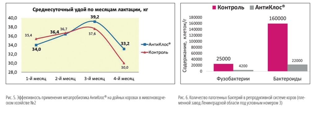 Макет СХ-ВЕСТИ_3_2024 весь кач-39.jpg