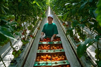 Плюс 1500 новых рабочих мест