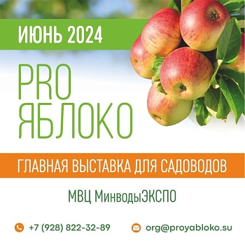 PRO ЯБЛОКО – это надежная площадка