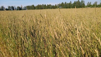 Международная научно-практическая конференция