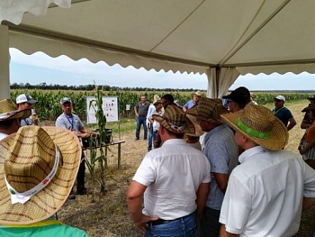 Первые итоги исследовательского проекта Crop Tour