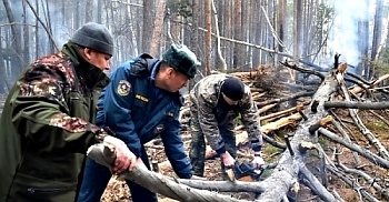 С сеном в жару, тракторист, не шути — вспыхнет — ни сено, ни лес не спасти!