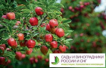 Более 150 руководителей уже подтвердили своё участие
