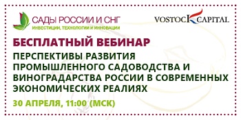 Узнайте больше о перспективах развития промышленного садоводства, виноградарства и ягодоводства