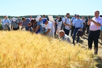 Органическое сельское хозяйство в Белгородской области всерьез и надолго