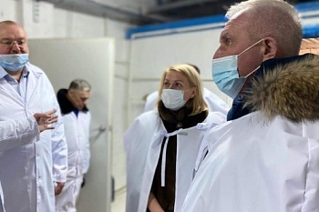 В 2021 году в Ульяновской области начнется производство инкубационного яйца