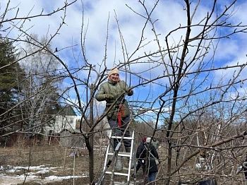 Прошел Всероссийский конкурс по обрезке плодовых культур