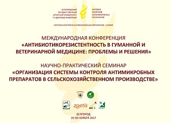В Белгороде организуют систему контроля антимикробных препаратов
