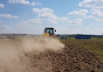 Сегодня отмечается "Международный день почв"