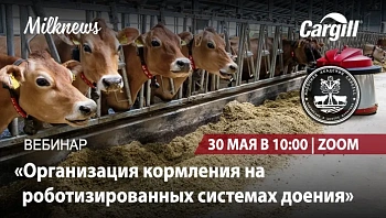Вебинар «Организация кормления на роботизированных системах доения»