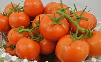 Последствия отмены квоты на импорт турецких томатов