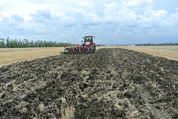 Ставрополье в пятерке лидеров по площади применения системы No-till