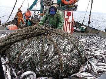 Общий вылов российских рыбаков с начала года превышает прошлогодний показатель на 5,4 тыс. тонн
