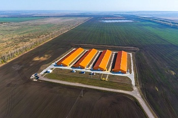 Плюс 22 процента